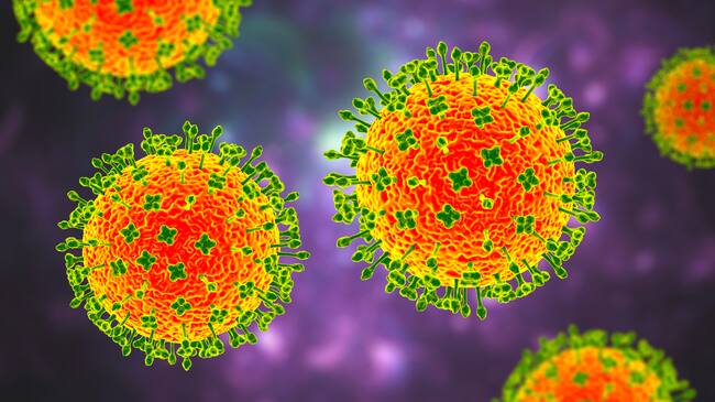 Nipah virus, a newly emerging bat-borne virus that causes acute respiratory illness and severe encephalitis, 3D illustration