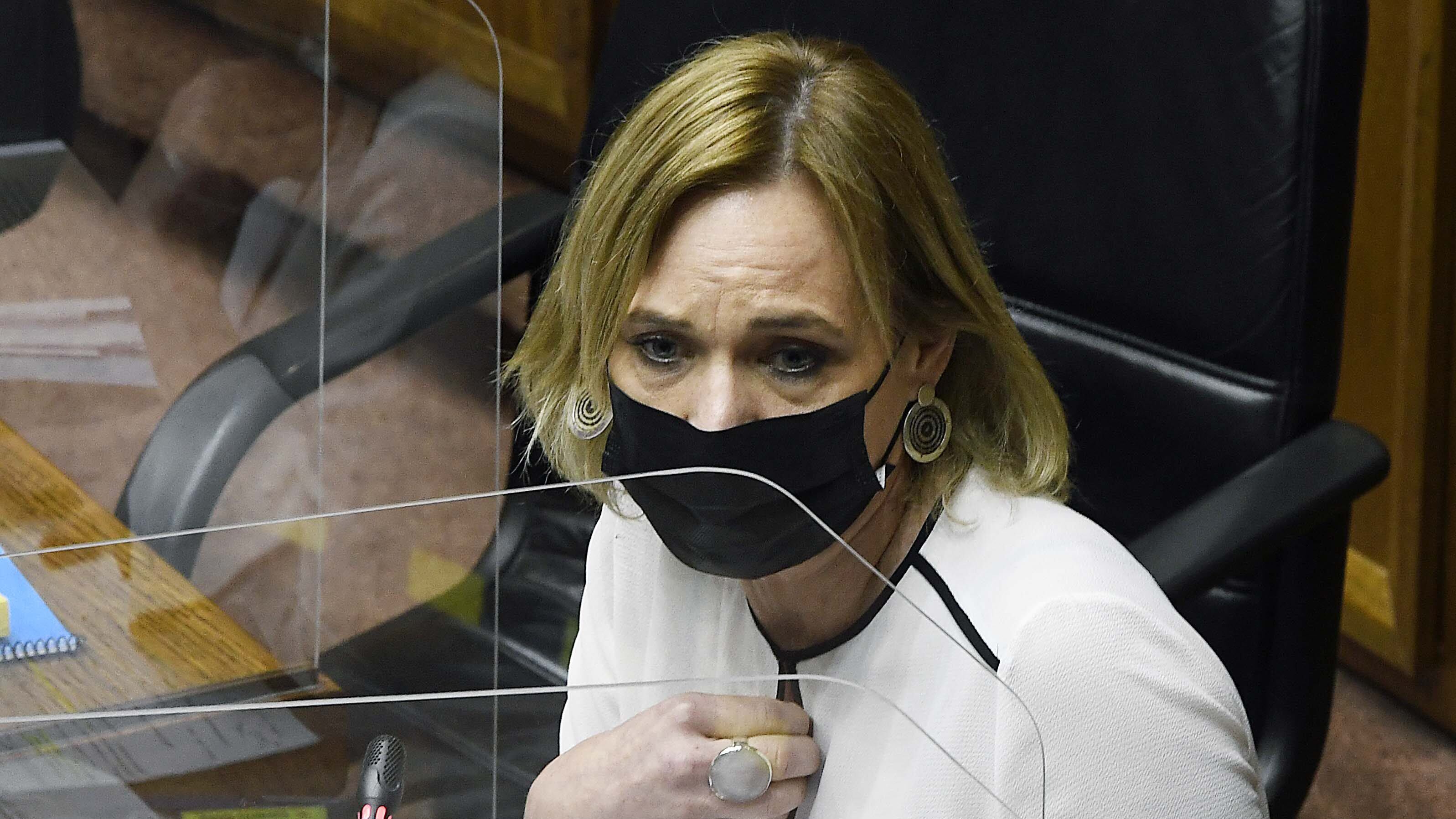 Goic y amenazas: Mucha gente dejó su vida para recuperar la democracia