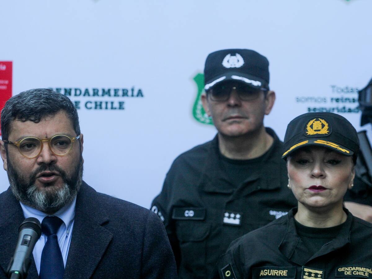 Gobierno se refiere a la liberación por error en Viña del Mar y entrega nuevos protocolos