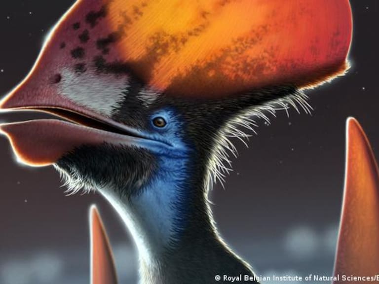 Descubren restos del «dragón de la muerte», el mayor reptil volador de Sudamérica