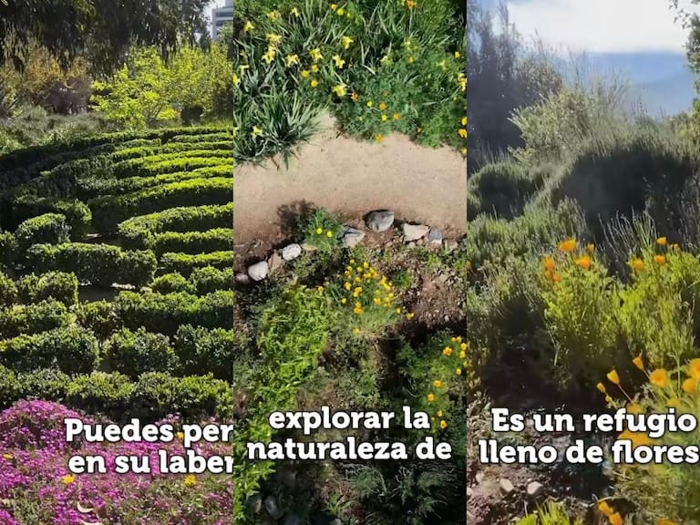 “Parece sacado de un cuento”: el parque encantado en Santiago que tiene un laberinto y un bosque natural (y dónde queda)