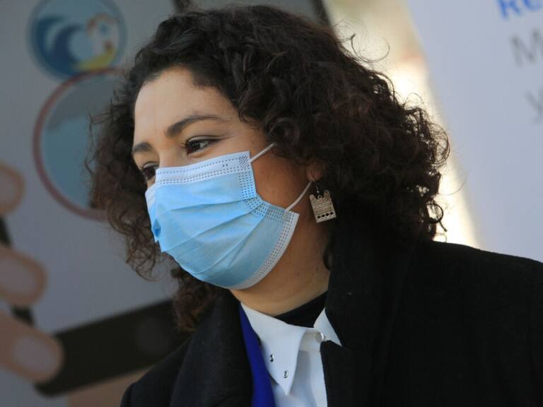 plaga de moscas, "Cuando es verano en esta fecha la cosa se pone insufrible", Tantehue, Comisión de Medio Ambiente, Marisela Santibáñez, p