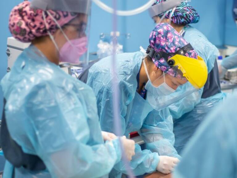 Ministerio de Salud informó 218 fallecidos por Covid-19, la segunda cifra más alta desde el inicio de la pandemia