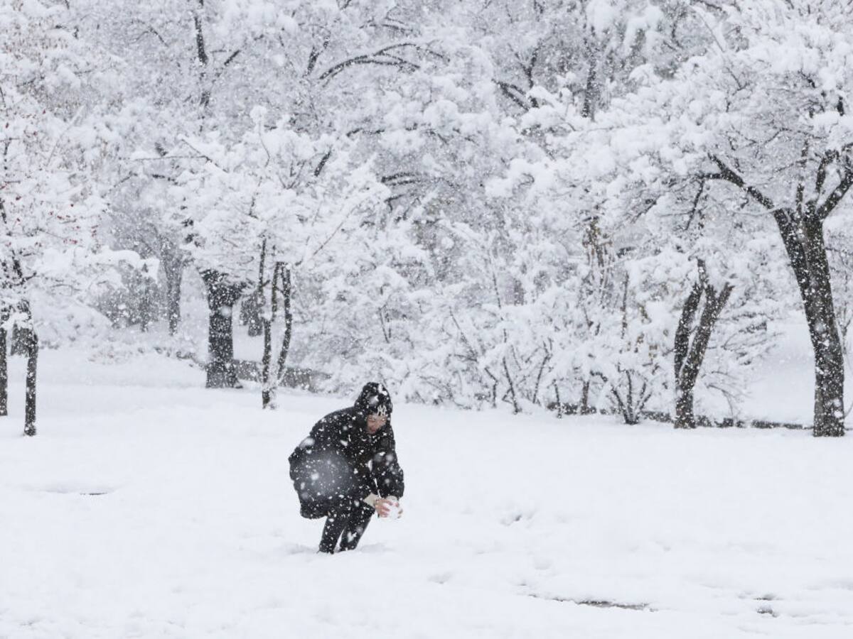 Corea del Sur registra la mayor nevada de su historia para un mes de noviembre