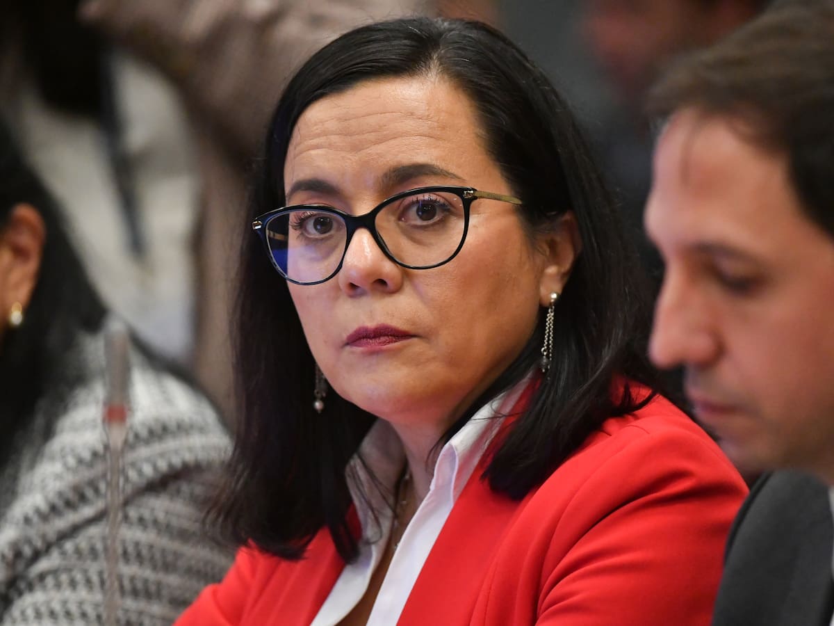 Alerta por las cuentas fiscales: Consejo Fiscal Autónomo advierte que deuda superaría nivel prudente desde 2029