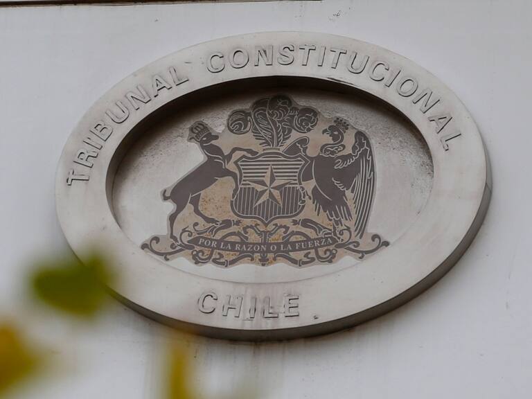 Indultos: TC acoge a trámite siete requerimientos de inconstitucionalidad presentados por senadores