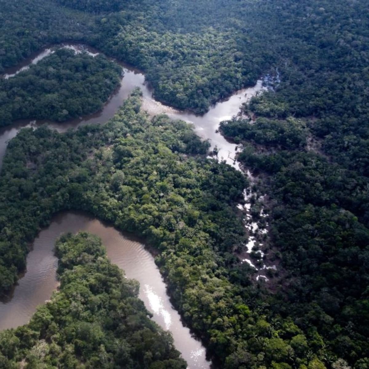 El reciente descubrimiento que pone en serio peligro a la Amazonía
