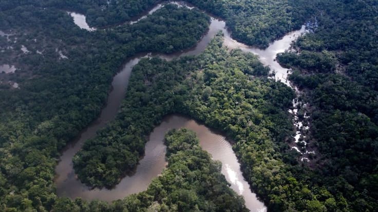 El reciente descubrimiento que pone en serio peligro a la Amazonía