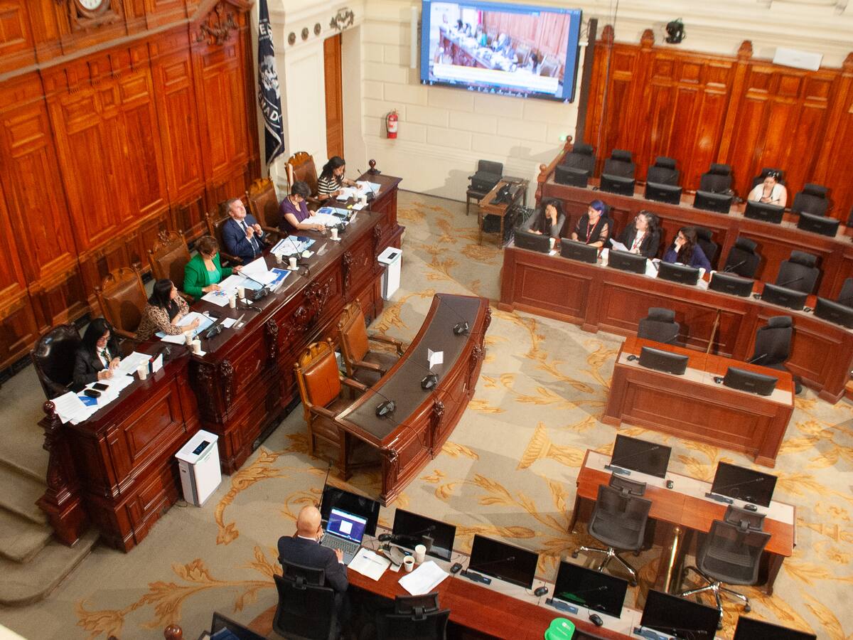 Comisión de la Cámara de Diputados aprueba idea de legislar despenalización del aborto hasta la semana 14