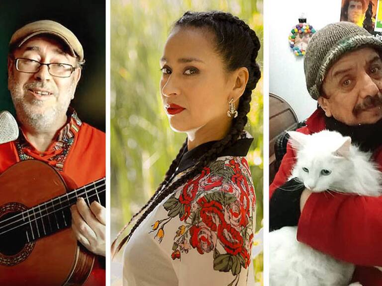 Peralta & Guzmán, Carmen Lienqueo, Redolés y más