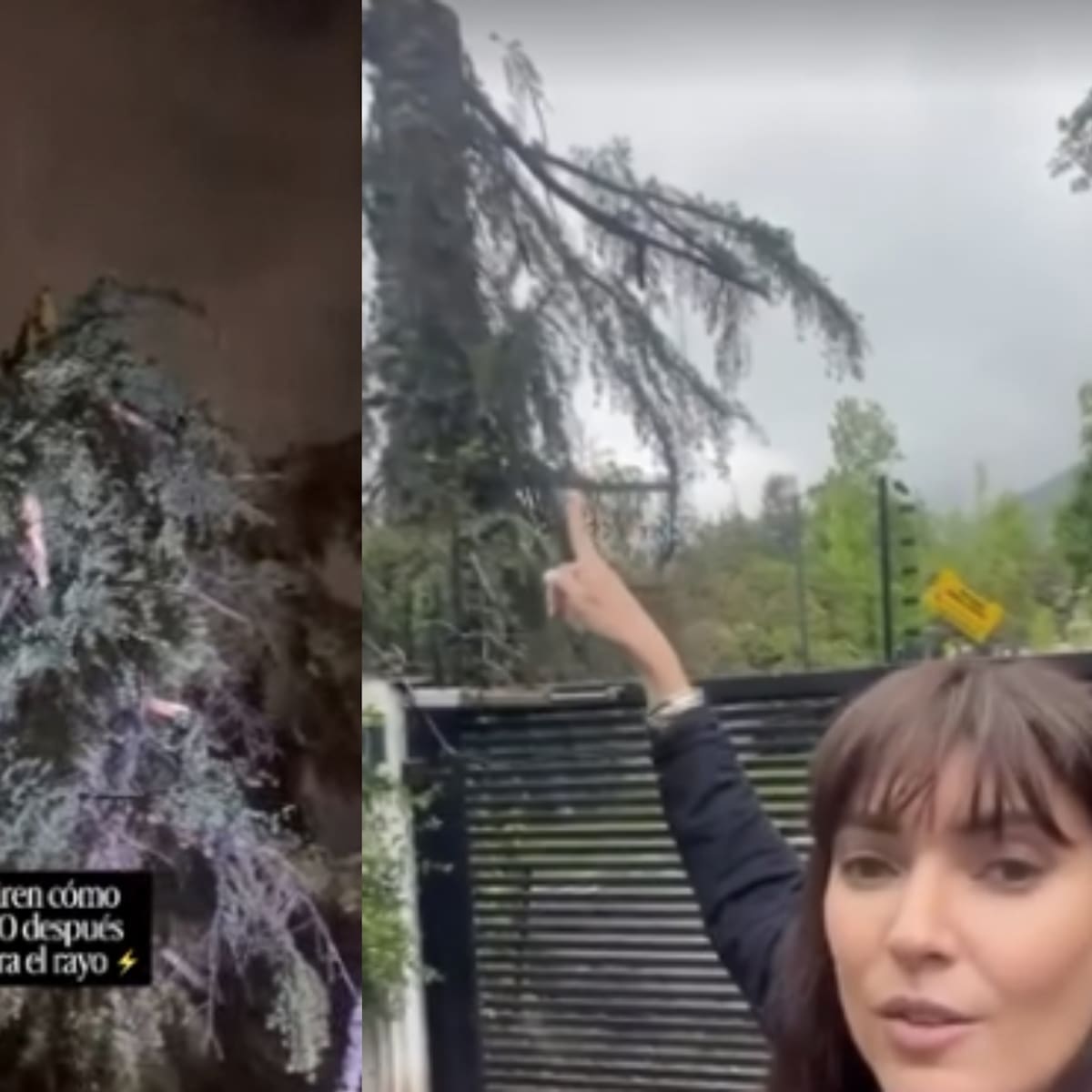 “Para mí es una señal”: rayo impacta árbol frente a casa de influencer y comparte registro del momento