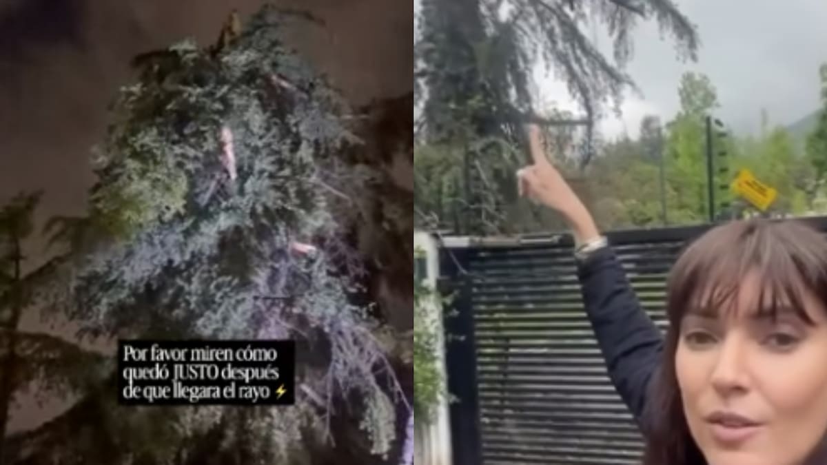 “Para mí es una señal”: rayo impacta árbol frente a la casa de Nini Tocornal y la emprendedora comparte registro del momento