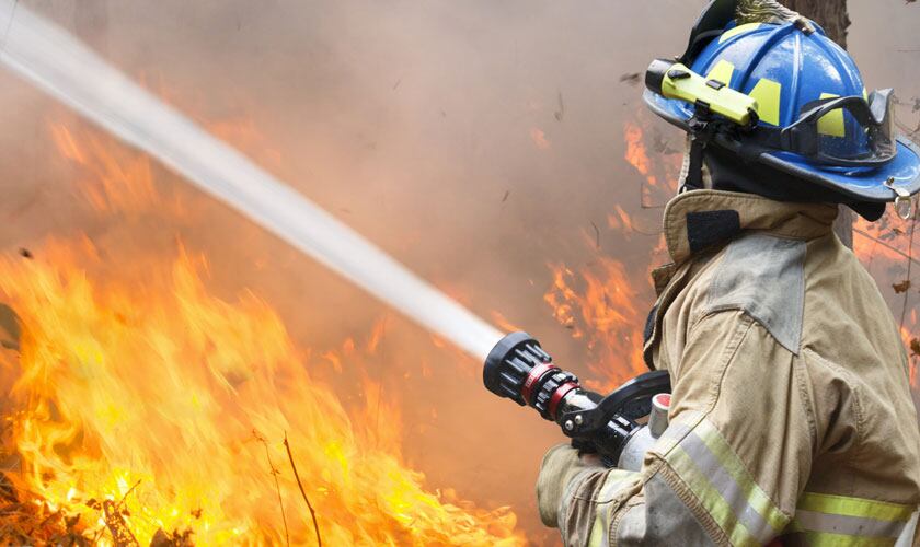 Senapred declara Alerta Roja por violento incendio forestal en Quilpué