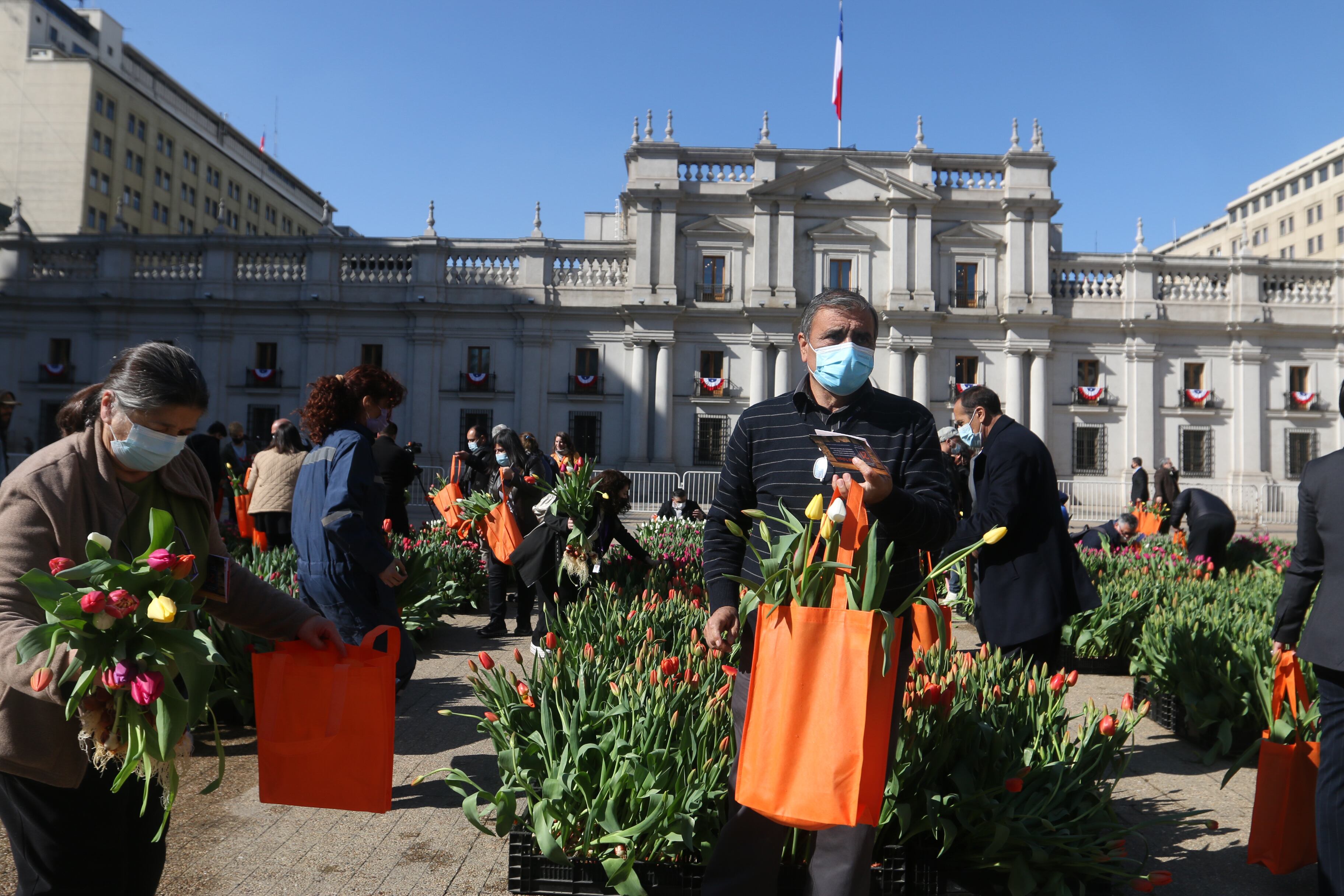Día del Tulipán en La Moneda 2022 / Agencia Uno
