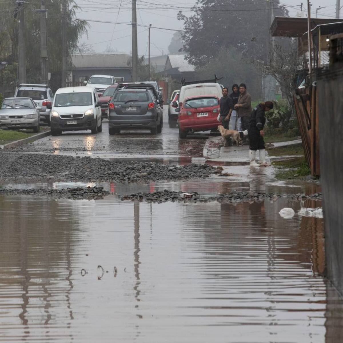 Sistema frontal deja al menos 40 viviendas afectadas y 30 personas aisladas en el sur de Chile