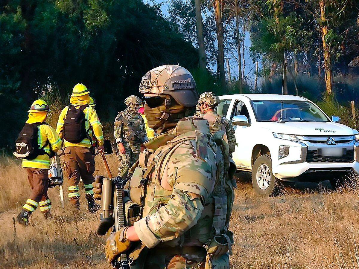 Corma denuncia intencionalidad en incendios forestales y disparos contra las brigadas de combate en Tirúa: Conaf descartó cualquier tipo de ataque