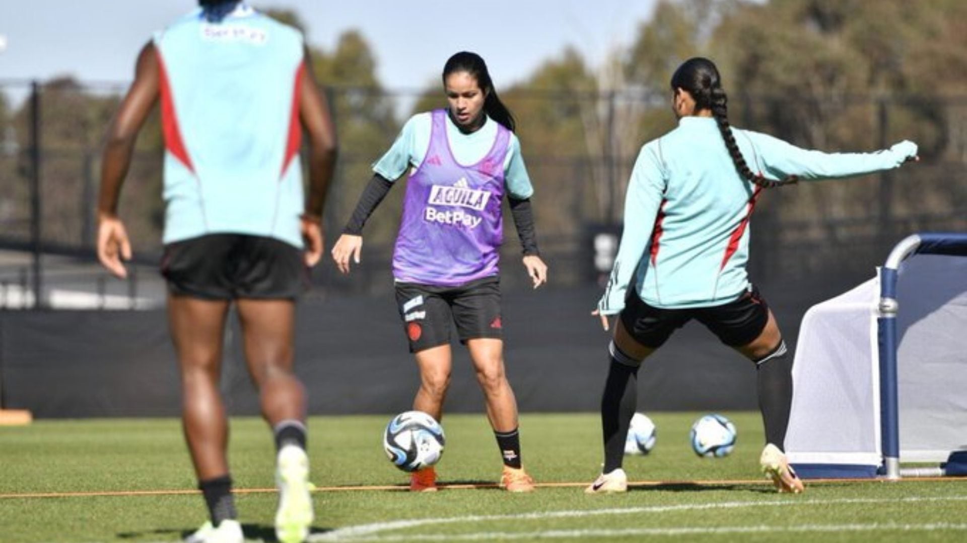 Irlanda Colombia