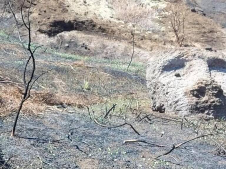 Unesco compromete millonaria inversión para evaluar daños del incendio en el Parque Nacional Rapa Nui