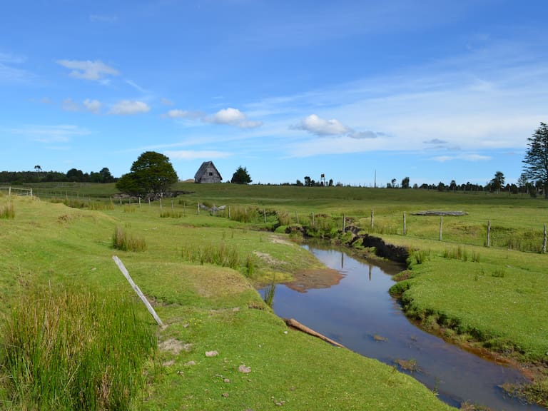 ¿No es tan antiguo como se creía? Prestigiosa revista científica cuestiona edad del asentamiento Monte Verde en Chile