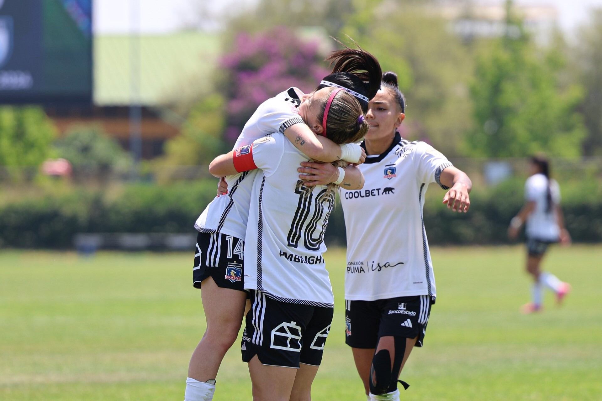 @ColoColoFem