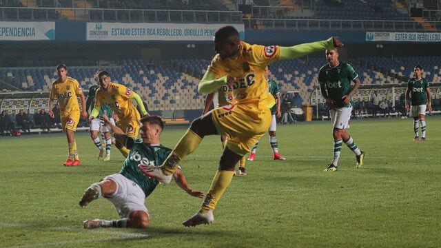 U de Concepción
