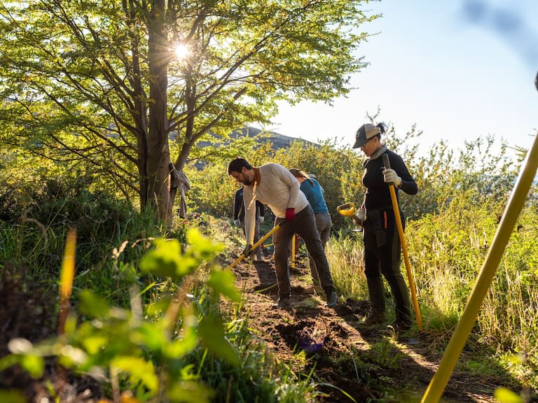 Claudia Castañeda, directora de Fundación Trascender: “La mitad de los chilenos pide que el Estado fomente el voluntariado