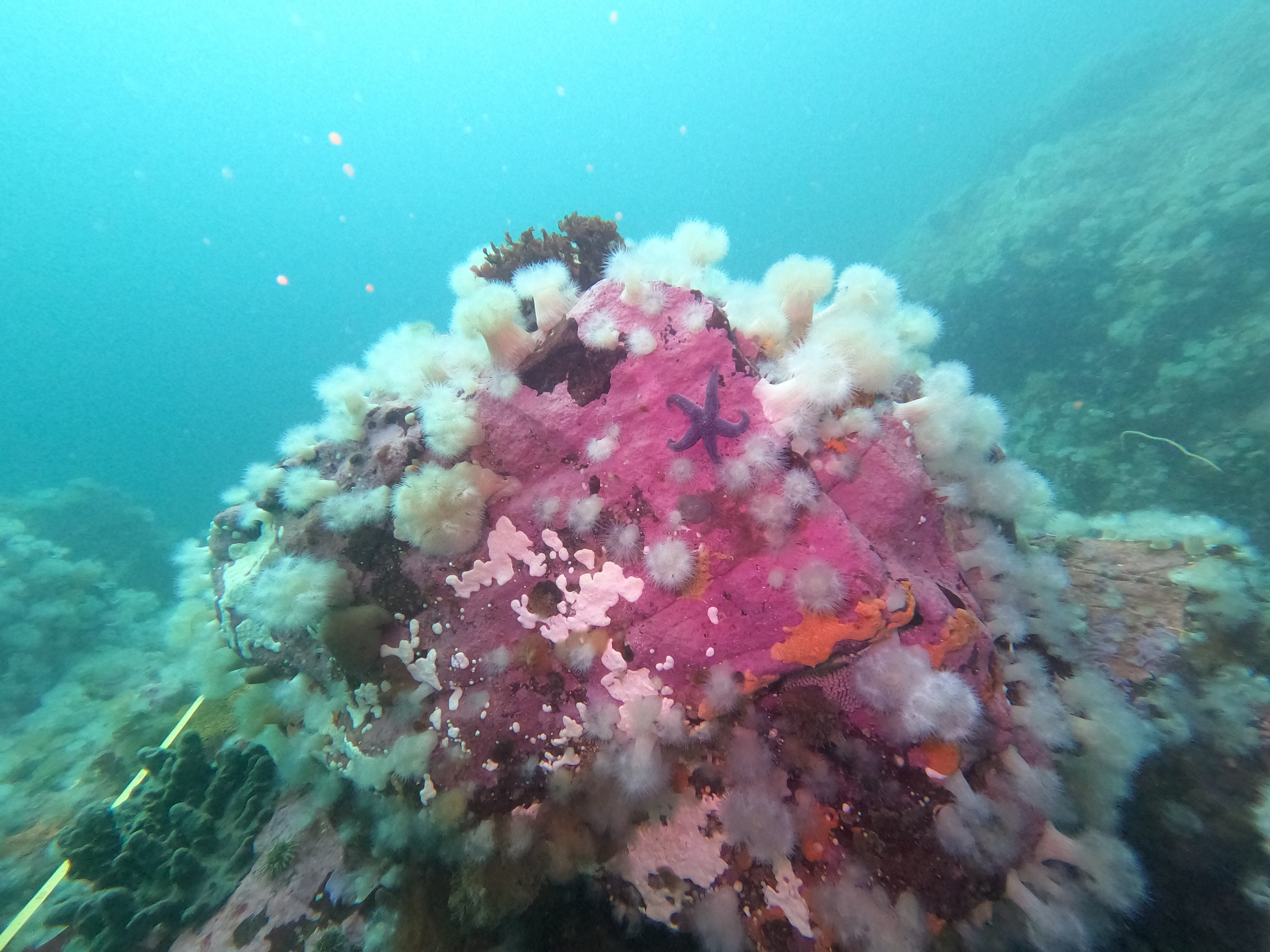 DCIM\100GOPRO\GOPR4638.JPG