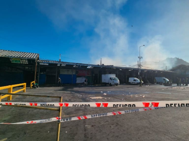 Incendio en la Vega Central dejó más de 70 locales afectados