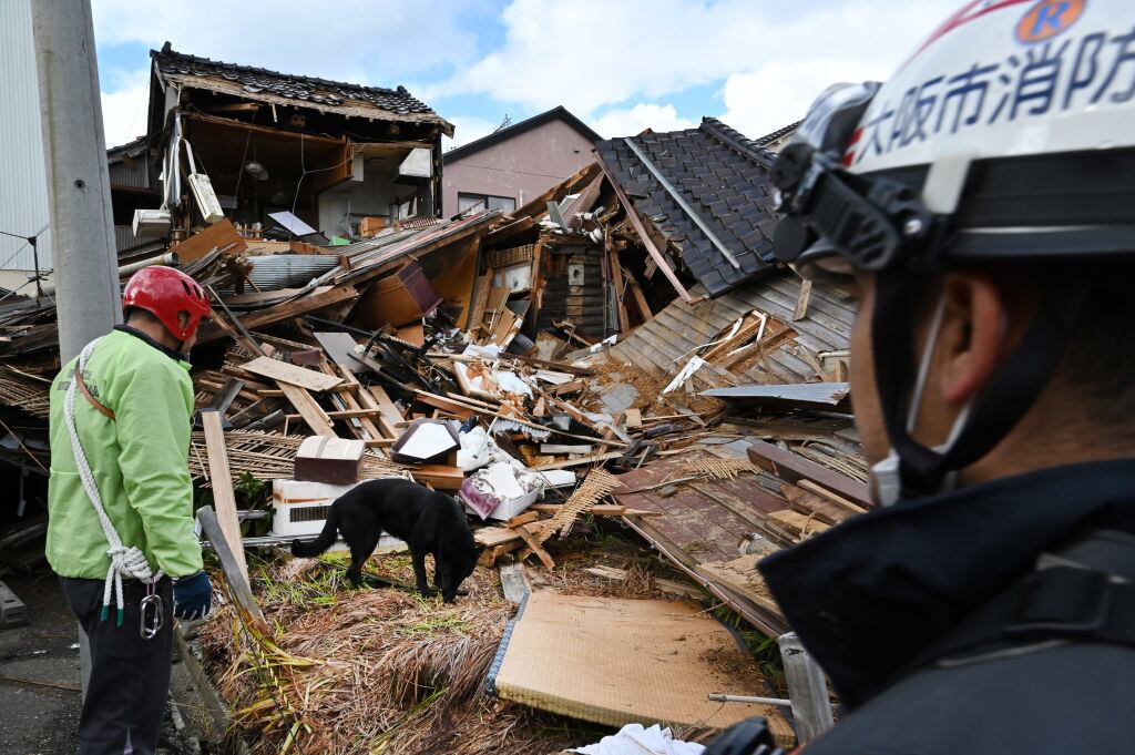 Rescatistas ayudados por perros buscan personas entre los escombros de las viviendas en la localidad de Wajima de Japón, luego del terremoto.