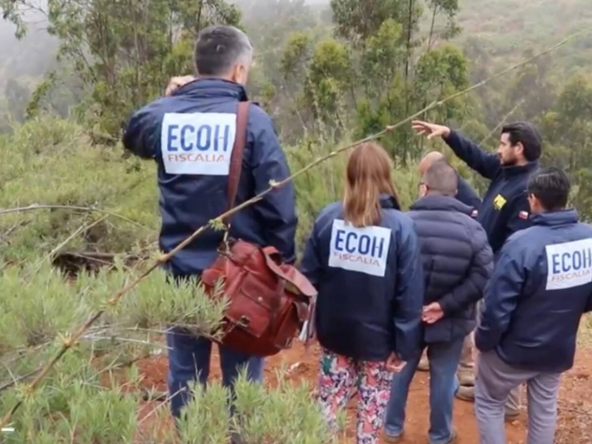 PDI investiga si hallazgo de osamentas y cráneo en cerro de Valparaíso estaría vinculado al crimen organizado