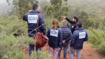 PDI investiga si hallazgo de osamentas y cráneo en cerro de Valparaíso estaría vinculado al crimen organizado