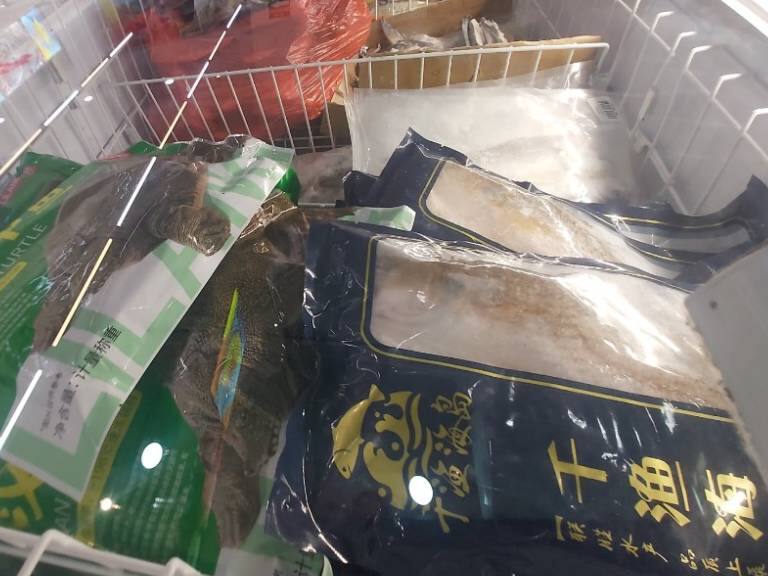 Seremi Metropolitana clausura supermercado que vendía carne de tortuga y otros animales