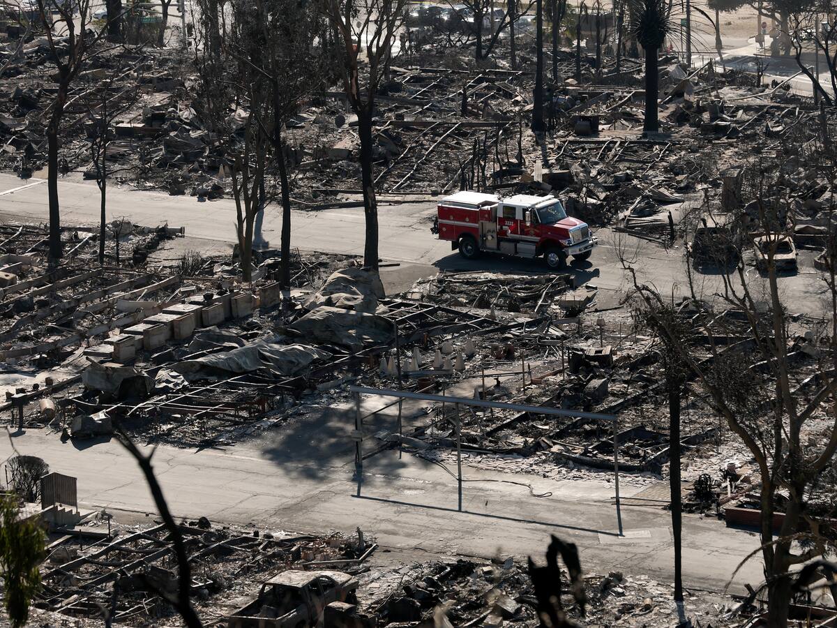 Muere querida actriz de Hollywood en los incendios de Los Ángeles