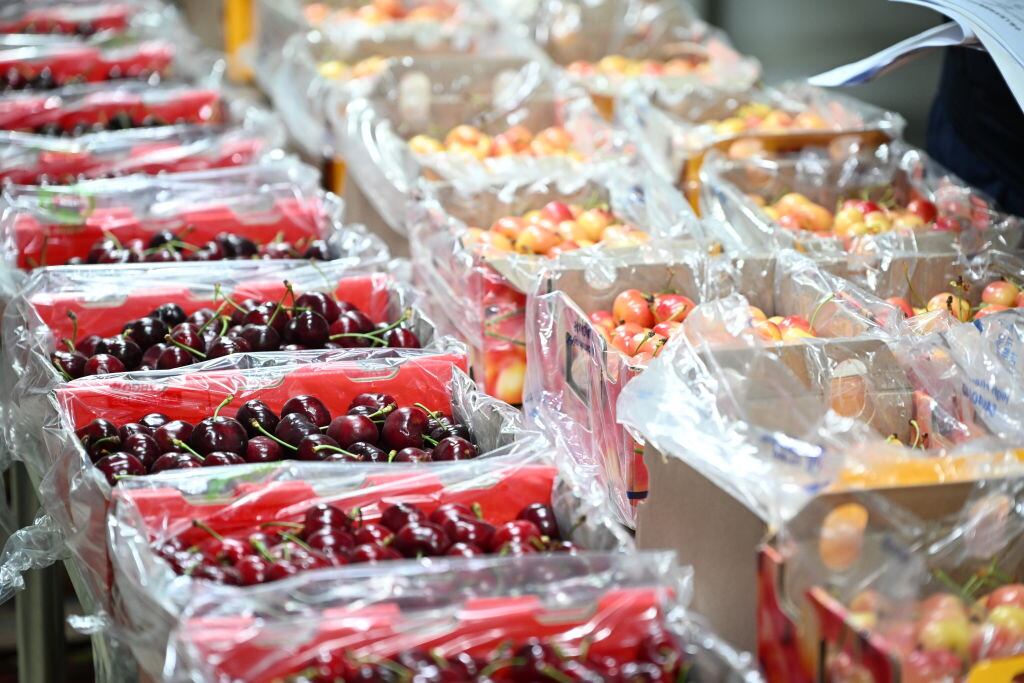 Crisis de la cerezas chilenas en China: ¿Qué pasó con el producto estrella?