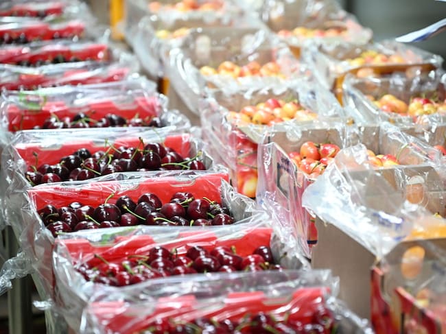 Crisis de la cerezas chilenas en China: ¿Qué pasó con el producto estrella?