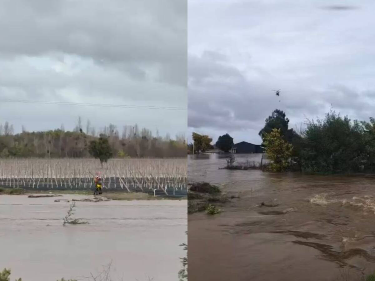 Alerta en la Ruta 5 Sur: crecida del río Perquilauquén amenaza principal conexión con el sur de Chile