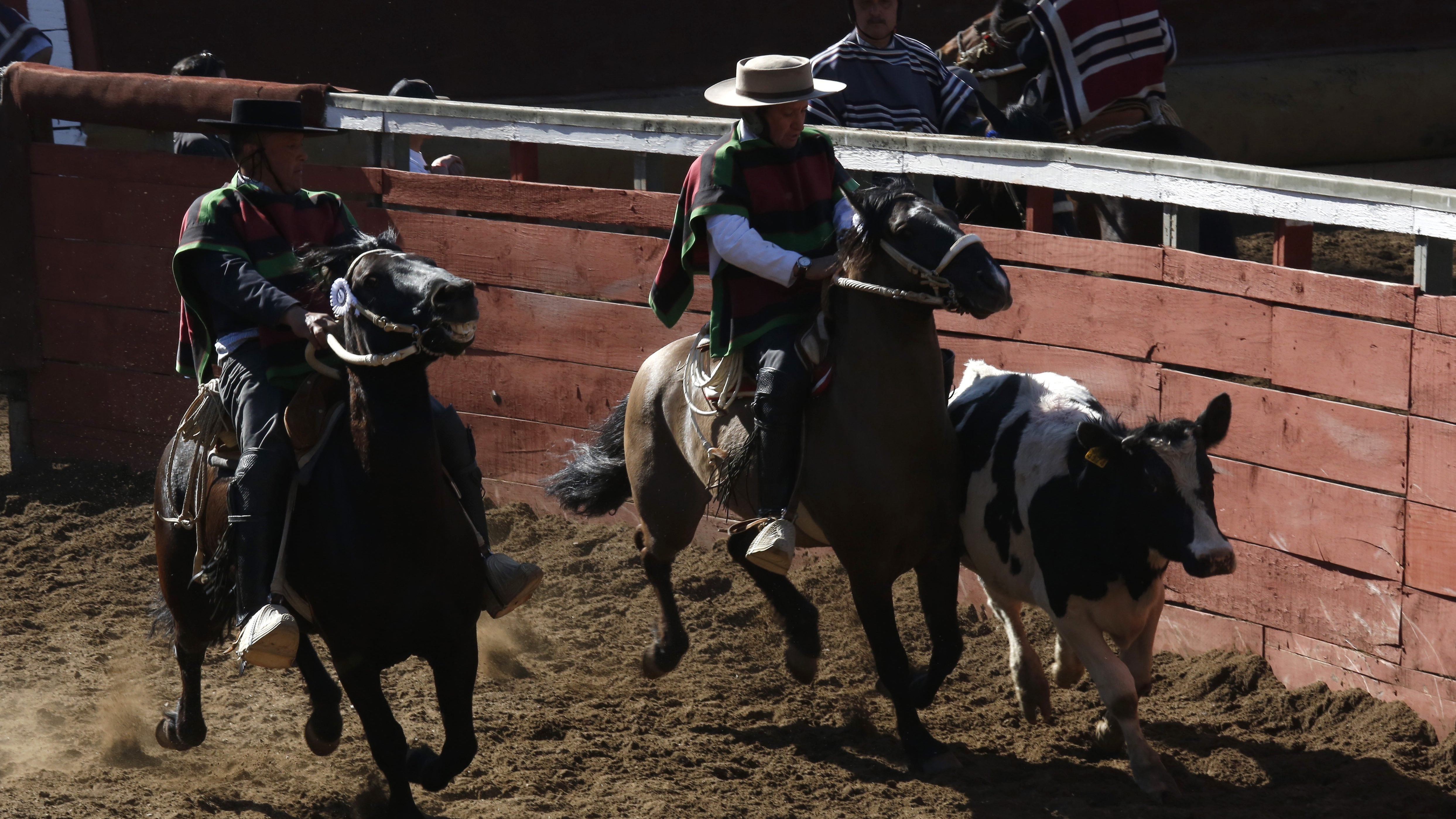 Gabriel Boric sobre el rodeo