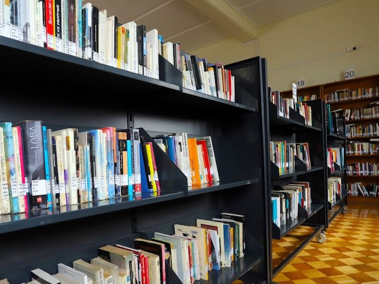 La polémica tesis de la Universidad de Chile que fue viralizada y fuertemente criticada en redes sociales