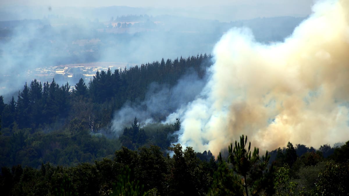 Fernando Parada, jefe del Departamento de Control de Incendios de Conaf