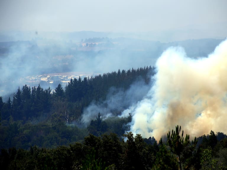 Fernando Parada, jefe del Departamento de Control de Incendios de Conaf