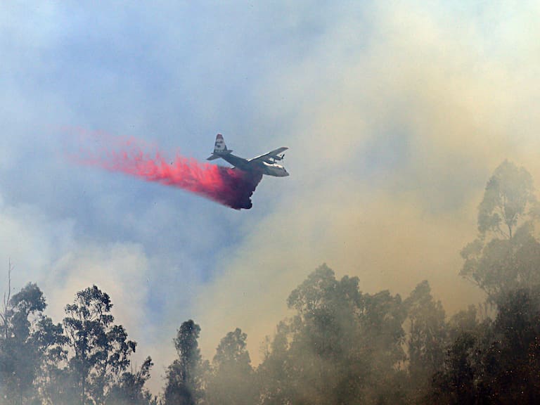 Nuevo balance de incendio forestales en el sur de Chile
