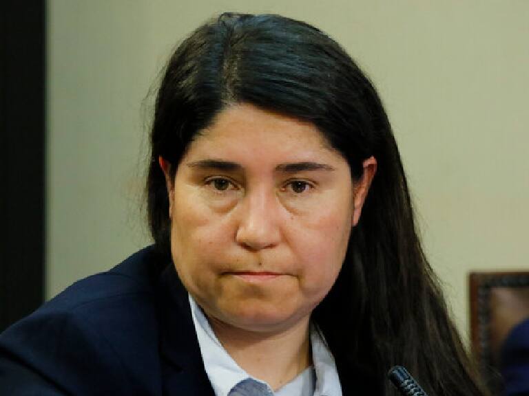 UDI solicita renuncia de directora del Plan Estadio Seguro