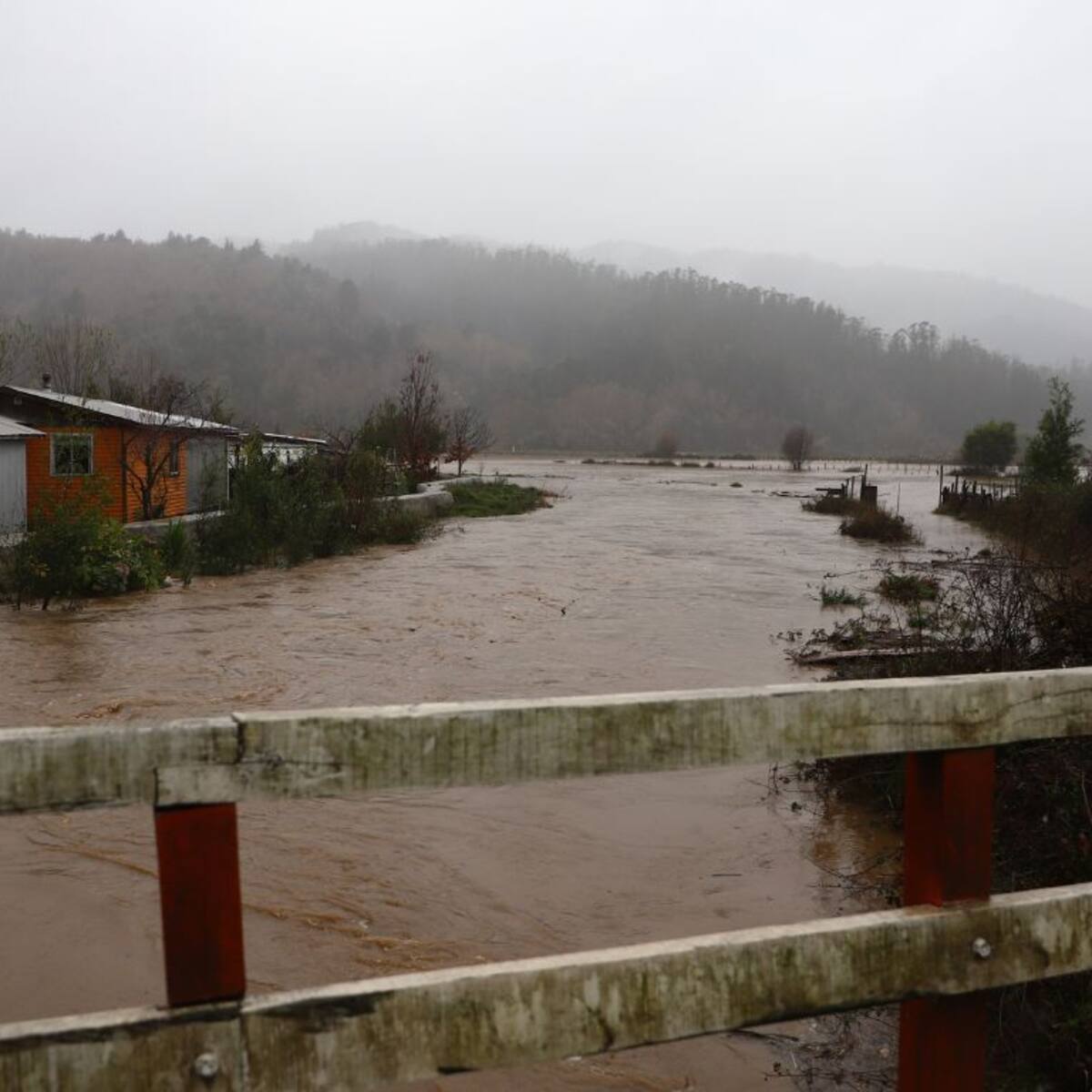 Alerta Amarilla en Arauco por crecida del río Pichilo: caudal alcanza nivel de riesgo