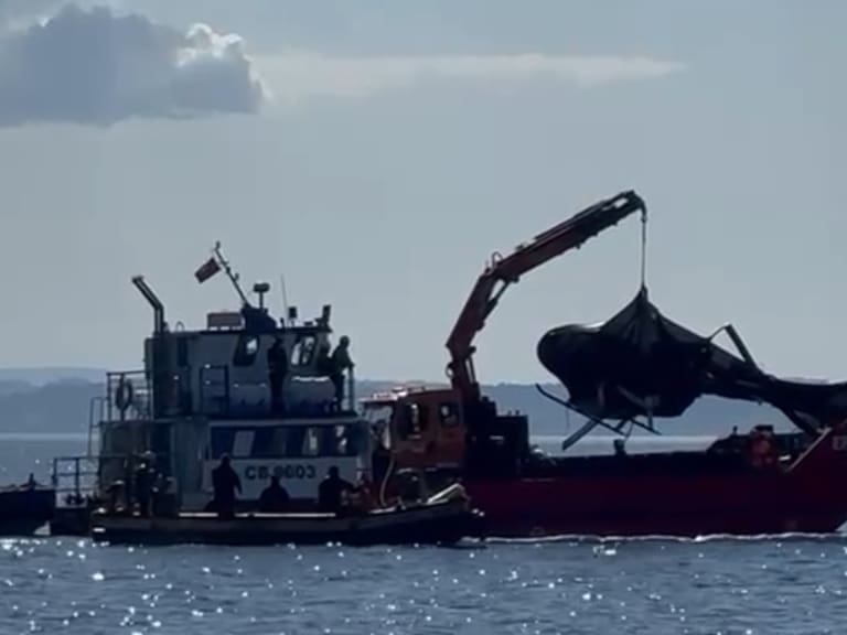 Logran sacar helicóptero que se precipitó en lago Rango y que terminó con la muerte del expresidente Sebastián Piñera