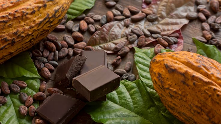 La revolución del chocolate premium: Por qué el cacao latinoamericano ahora se cotiza como el vino de alta gama