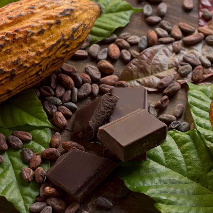 La revolución del chocolate premium: Por qué el cacao latinoamericano ahora se cotiza como el vino de alta gama