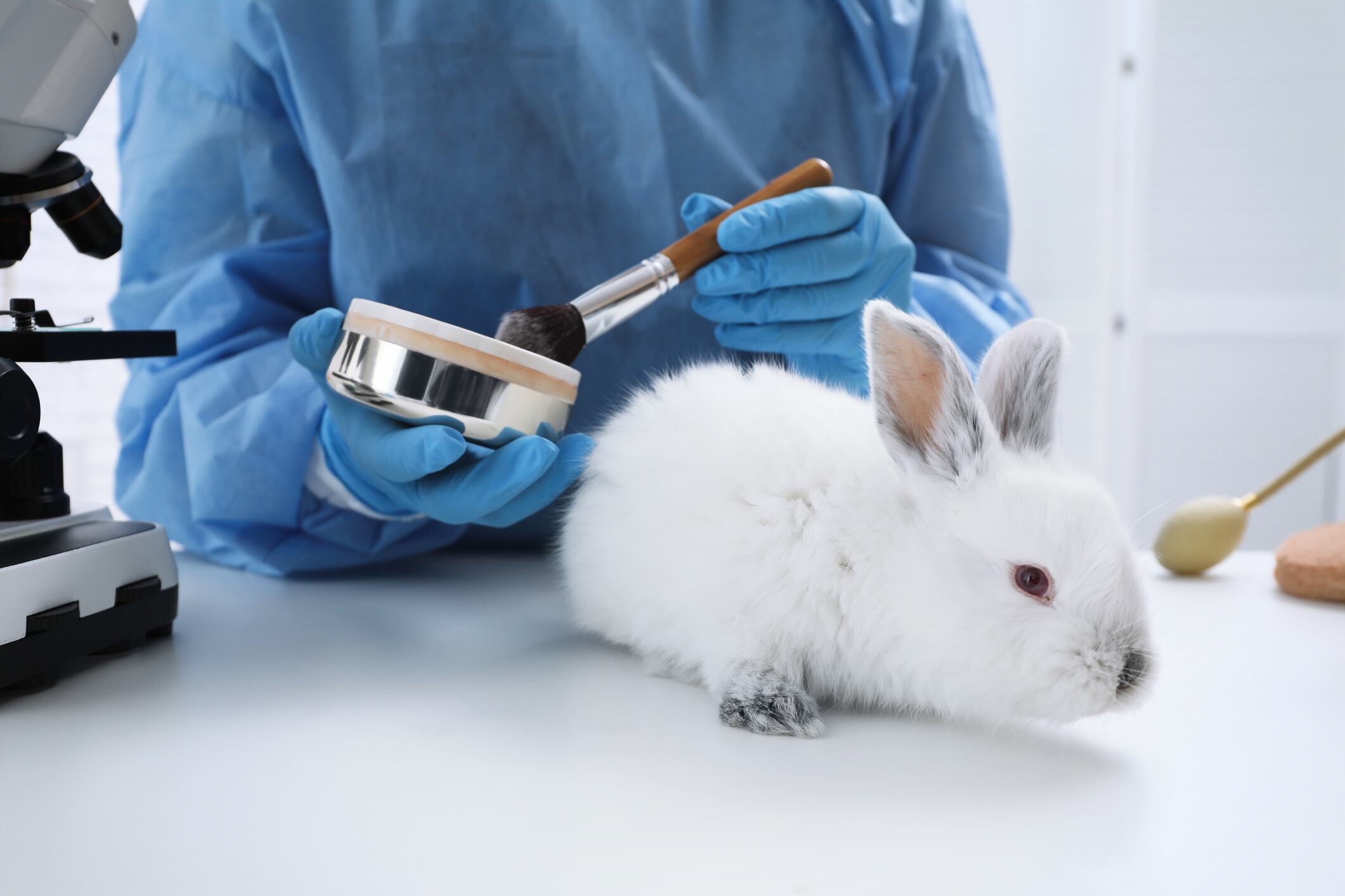 Aprueban proyecto que prohíbe el testo en animales para cosmética en Chile