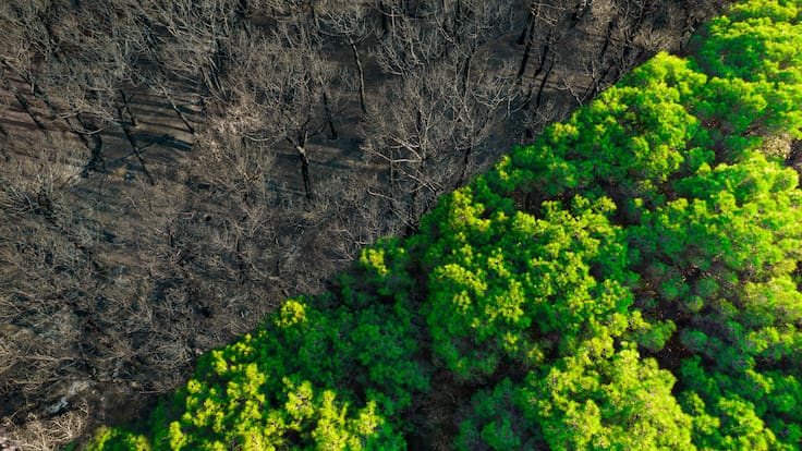 “Latigazos hidroclimáticos”: ¿De qué se trata la nueva cara del cambio climático y cuáles serán sus impactos?