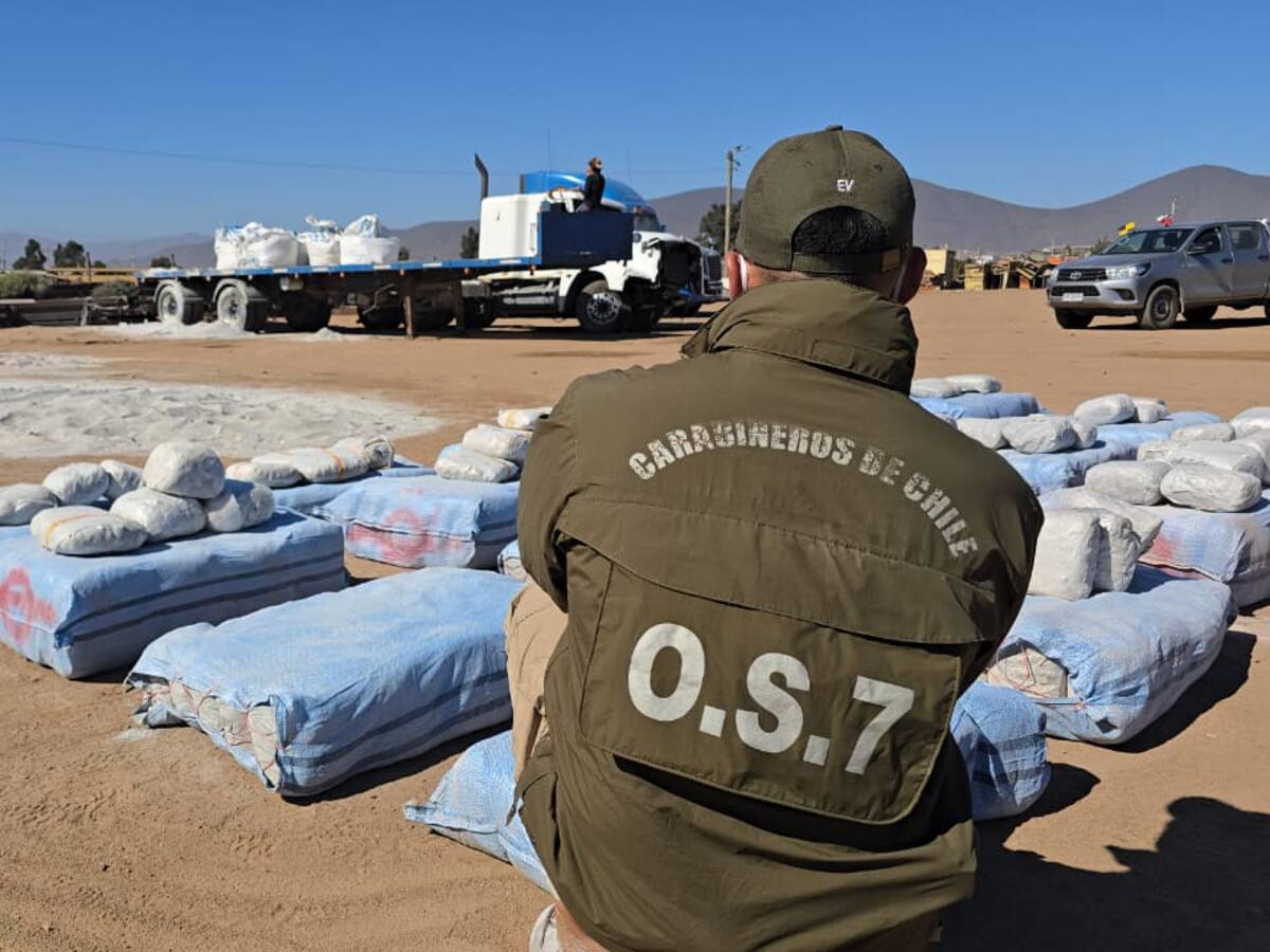 Incautan casi una tonelada de marihuana en la Ruta 5: droga iba oculta en sacos de cemento rumbo a la RM