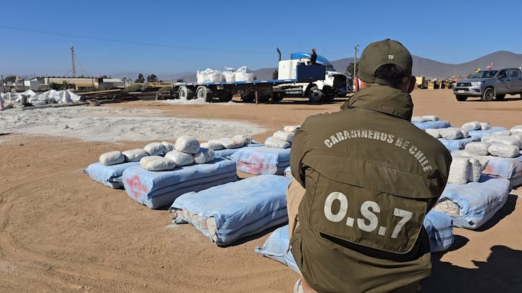 Incautan casi una tonelada de marihuana en la Ruta 5: droga iba oculta en sacos de cemento rumbo a la RM